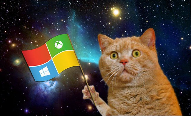 Windows 10 стала второй по популярности ОС в мире
